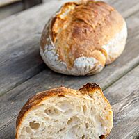 Eine Scheibe des kräftig ausgebackenen Weizensauerteigbrotes zeigt die grobporige Krume.