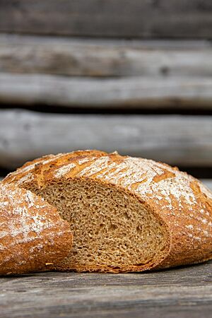 Das Weizenvollkornbrot im Anschnitt zeigt die gleichmäßige Porung der saftigen Krume.