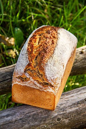 Das kräftig ausgebackene Sonntags-Einkornmischbrot in Form eines Kastenbrotes liegt auf rustikalen Holzlatten über saftigem Gras.