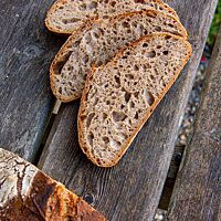 Die mittelporige, saftige Krume des Weizenvollkornsauerteigsbrotes ist umgeben von der kräftigen, knusprigen Kruste.