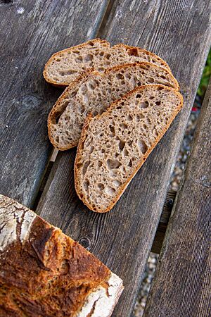 Die mittelporige, saftige Krume des Weizenvollkornsauerteigsbrotes ist umgeben von der kräftigen, knusprigen Kruste.