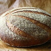 Das goldbraun ausgebackene, fächerartig eingeschnittene Roggenbrot mit Kümmel hat eine bemehlte Kruste.