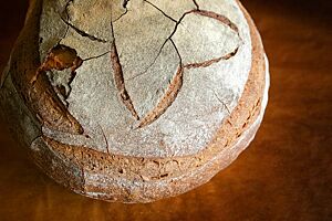 Manfreds Weizenbrot hat eine kräftig ausgebackene und bemehlte Kruste.