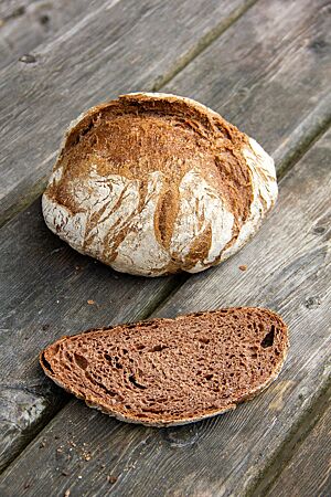 Eine Scheibe Sauerteigbrot zeigt die lockere, elastische Krume.