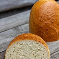 Angeschnitten zeigt sich das Weißbrot mit fluffiger und elastischer Krume.