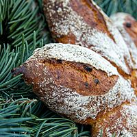 Das sternförmige Weihnachtsbrot liegt auf Tannenzweigen.