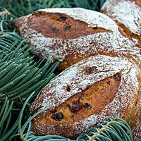Die Kruste des leicht bemehlten Weihnachtsbrotes ist kräftig ausgebacken und rustikal aufgerissen.