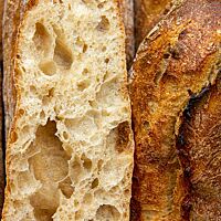 Angeschnitten zeigt das Stangenbrot seine saftige, offenporige Krume.