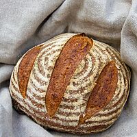 Das freigeschobene, dreimal parallel eingeschnittene 48-Stunden-Brot mit bemehlter Kruste liegt auf einem Leinentuch.