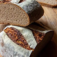 Ein halbiertes Roggenvollkornbrot mit kräftig ausgebackener, bemehlter Kruste zeigt die kleinporige, lockere Krumenstruktur.