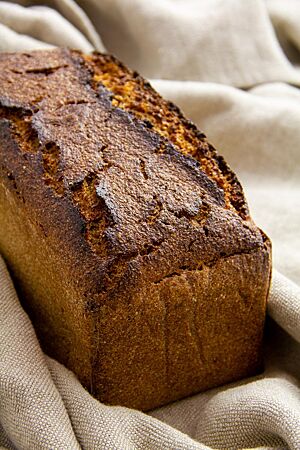 Das in der Kastenform dunkel ausgebackene Lichtkornroggenbrot liegt auf einem Leinentuch.