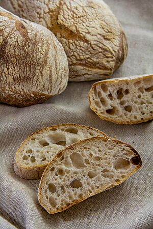 Ciabatta mit einer luftig, elastischen Krume mit grober Porung.