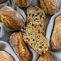 Das Drei-Stunden-Brötchen im Anschnitt zeigt die grobe Porung und lockere Krumenstruktur.