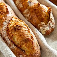 Kräftig ausgebackene, rustikal aufgerissene Baguettes liegen im bemehlten Leinentuch.