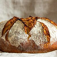 Das Bauernbrot hat eine krosse und rustikal aufgerissene Kruste.