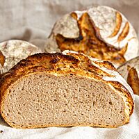 Das rustikale Bauernbrot zeigt im Anschnitt die saftige und elastische Krume.