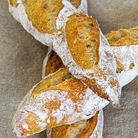Drei rustikal aufgebrochene Baguettes mit bemehlter Oberfläche liegen gekreuzt aufeinander.