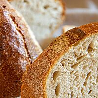 Das Ludwigsburger Spitzbrot im Anschnitt zeigt die lockere, saftige Krume.