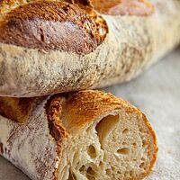 Die Krume des Weißbrotes ist mittelporig, locker und elastisch.