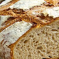 Eine Scheibe Burebrot zeigt die weiche, mittelporige Krume umhüllt von der zartsplittrigen Kruste.