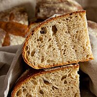 Im Anschnitt des Tourte de Meule wird die lockere, saftige Krume sichtbar.