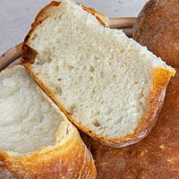 Eine Franzsemmel aus dem ersten Backversuch zeigt die elastische, weiche und kleinporige Krumenstruktur.