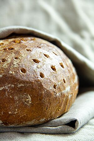 Das Roggenmischbrot 70/30 ist kräftig ausgebacken und auf der Oberfläche gestippt.