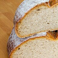 Der Anschnitt des Farb-Brot aus dem ersten Backversuch zeigt den flachen Brotquerschnitt mit kleinporiger Krume.