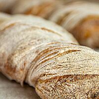 Ein verdrehtes Wurzelbrot mit bemehlter Kruste liegt auf einem Leinentuch.