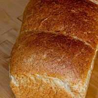 Das goldgelb ausgebackene Pain de Mie in Form eines Kastenbrotes hat eine glatte, leicht glänzende Oberfläche.