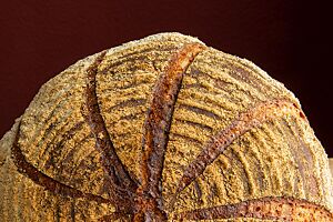 Der große, runde Brotlaib ist strahlenförmig eingeschnitten und kräftig ausgebacken.