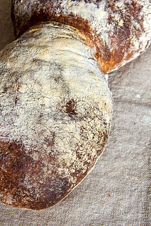 Zwei aneinandergebackene Weizenbrotlaibe mit sehr dunkler und stark bemehlter Kruste liegen auf einem Leinentuch.