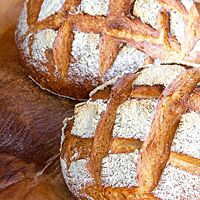 Zwei goldbraun ausgebackene, mehrmals rautenförmig eingeschnittene Burebrote mit bemehlter Kruste liegen auf Backpapier.