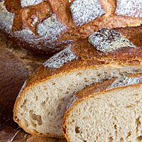 Im Anschnitt zeigt sich das Burebrot kleinporig mit elastischer Krume.