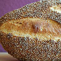Das goldbraun ausgebackene Grießbrot ist auf der Kruste mit Sesam bestreut.