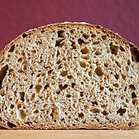 Im Anschnitt zeigt das Meerrettichbrot seine elastische, lockere Krume.