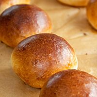Auf einem Backpapier liegen die goldbraun ausgebackenen, glänzenden Milchbrötchen mit leichter Fensterung.