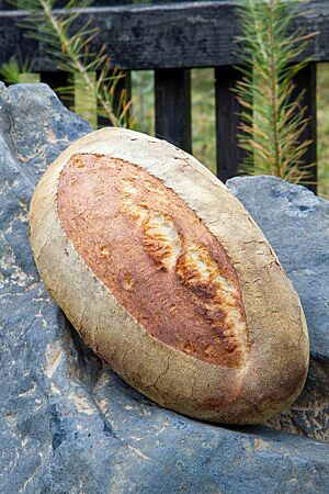 Das Griebenschmalzbrot mit seiner goldbraun ausgebackenen und leicht bemehlten Kruste liegt auf einem Stein.