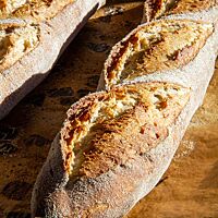 Die Altbrotstangen sind rustikal aufgebrochen und haben eine krosse Kruste.