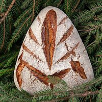 Ein Weihnachtsbrot in Form eines gleichschenkligen Dreieckes steht auf einem Tannenzweig.