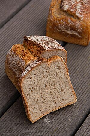 Im Anschnitt zeigt sich das Dinkelbrot mit 25% Gerstenflocken saftig und elastisch.