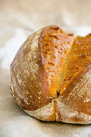 Das kräftig aufgerissene Roggenmischbrot ist rustikal aufgerissen und stellenweise leicht bemehlt.