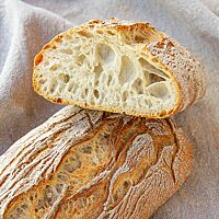 Die lockere, grobporige Krume des Ciabattas ist umgeben von der kräftig ausgebackenen und rustikal aufgerissenen Kruste.
