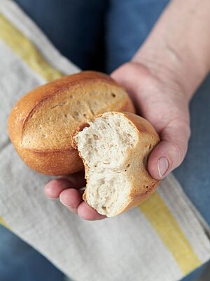 Ein auseinandergebrochenes Milchbrötchen zeigt die lockere, weiche Krume und die goldgelb ausgebackene Kruste.