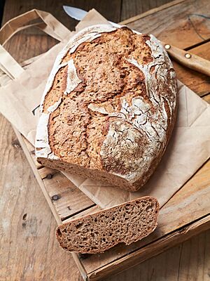 Das rustikal aufgerissene Familienbrot mit bemehlter Kruste hat eine lockere, elastische Krumenstruktur.