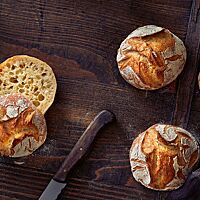 Die rustikal aufgerissenen Brötchen zeigen im Anschnitt die luftig-lockere Krume umgeben von einer krossen Kruste.