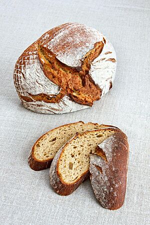 Das kräftig ausgebackene, rustikal aufgerissene Kamutvollkornbrot mit bemehlter Kruste hat eine lockere, elastische und leicht gelb gefärbte Krume.