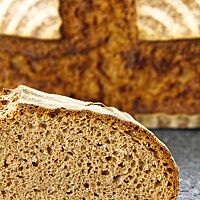 Die Krume des Weizenvollkornbrotes in der Übernacht-Variante ist locker, die Kruste ist knusprig und der Einschnitt rustikal aufgerissen.