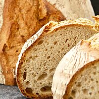 Das Dinkelmischbrot hat eine rustikal aufgerissene Kruste und eine kleinporige Krume mit vereinzelten mittleren Poren.
