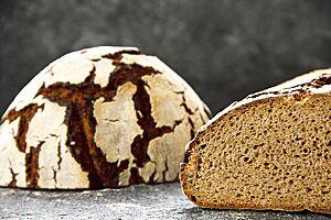 Das reine Roggenvollkornsauerteigbrot zeigt im Anschnitt die kleinporige, lockere Krume und die von dunkelbraunen Rissen durchzogene, stark bemehlte Kruste.